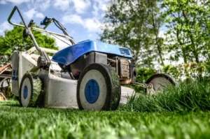Eco-friendly management tools