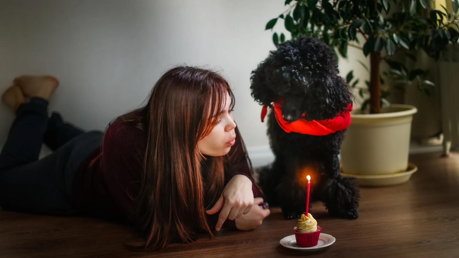 Advantages of Pet-Friendly Candles for a Stress-Free Auto Experience